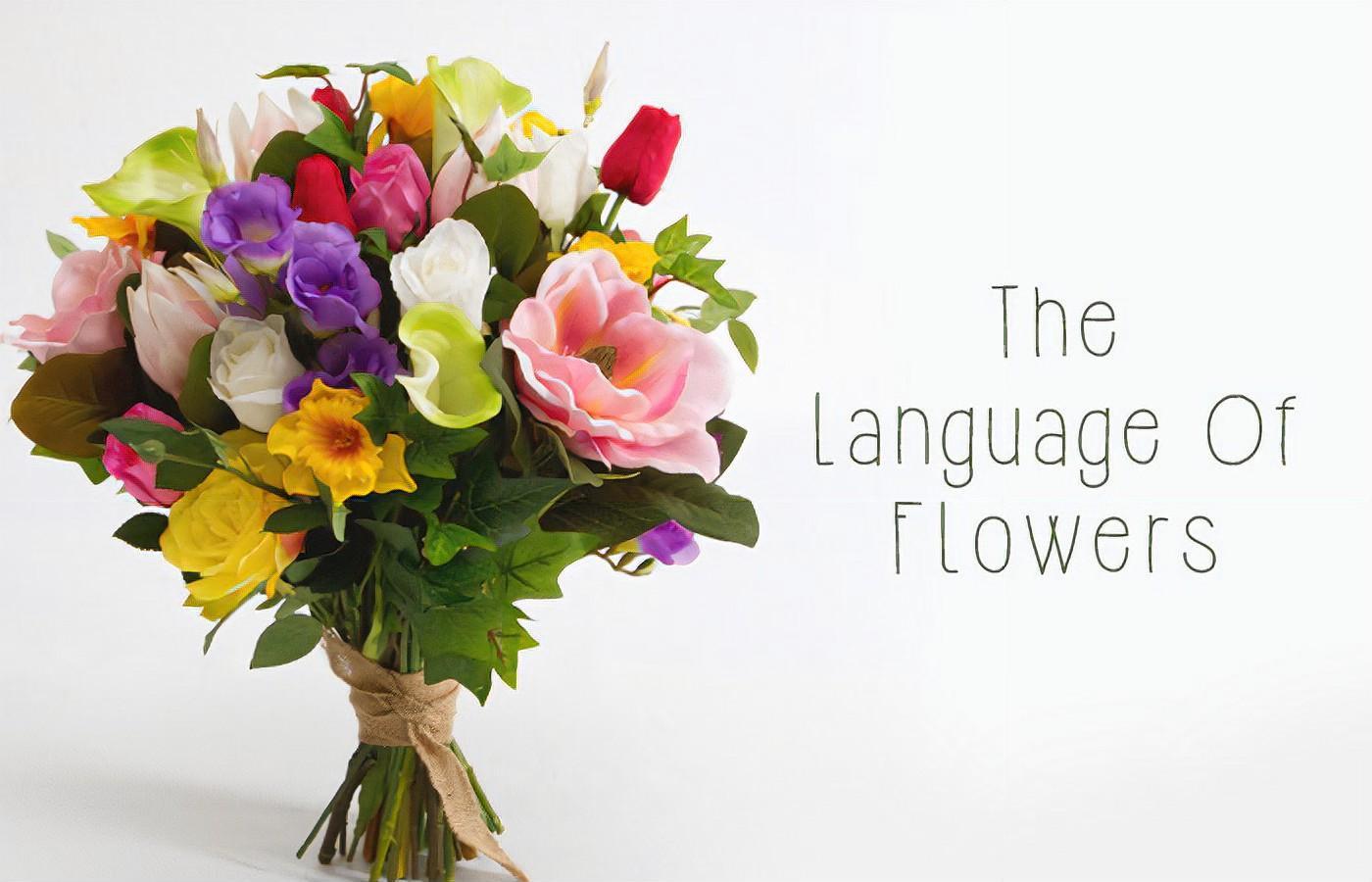 Unveil the Language of Flowers for a Memorable Mother's Day