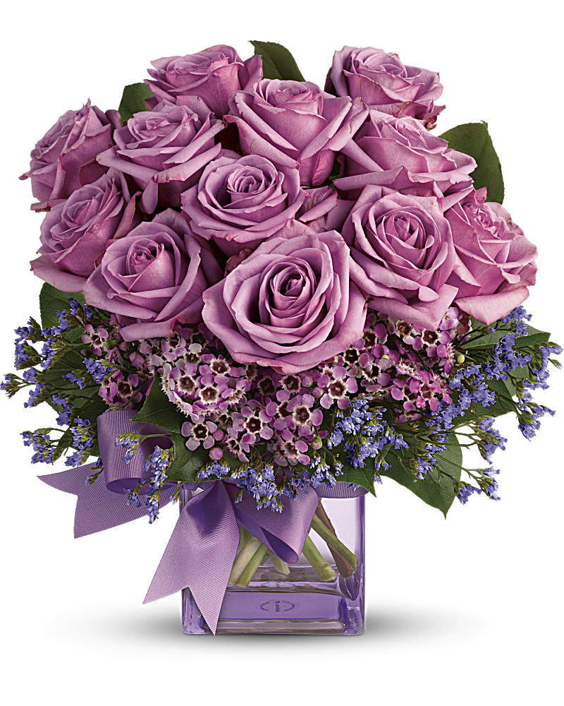 Lavender Rose Melody