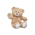 Beautiful Teddy Bear