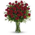 3 Dozen Long Stemmed Red Roses