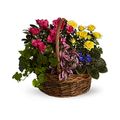Blooming Basket