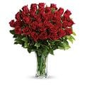 Devoted - Long Stemmed Red Roses