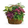 Garden Basket