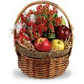 Healthy Fruit & Nut Basket