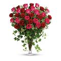 Hot Pink - Long Stemmed Pink Roses