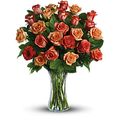 Rose Splendor