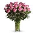 18 Long Stemmed Pink Roses