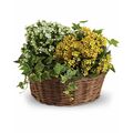 Joy Flowers Basket