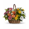 Tranquility Basket