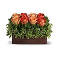 Uptown Peach Rose Bouquet