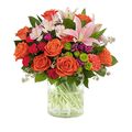 Citrus Bouquet