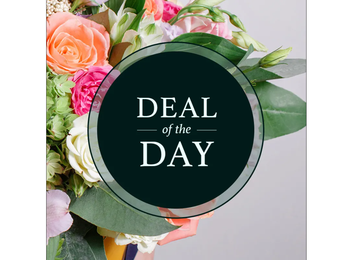 Deal of the Day!