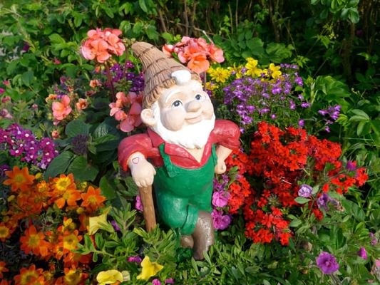 The Secret Life of Garden Gnomes: A Humorous Look at the Quirky World of Lawn Ornaments and their Role in Your Garden's Ecosystem