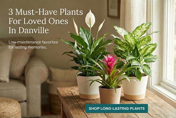 3 Must Have Plants For Loved Ones In Danville