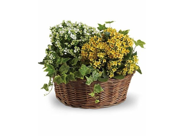 Joy Flowers Basket