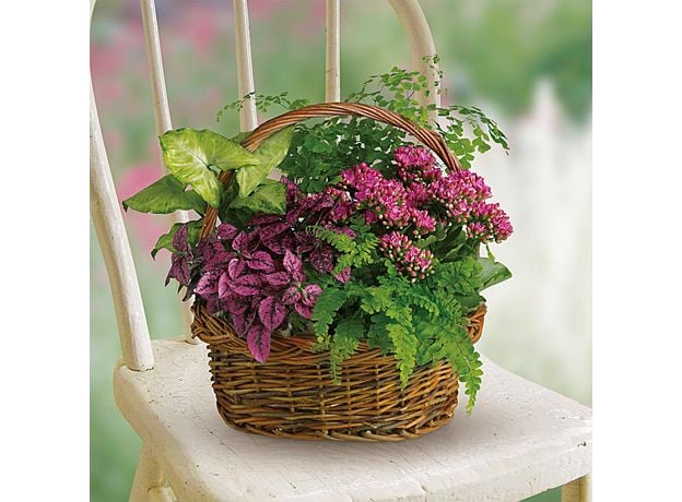 Garden Basket, 2 image