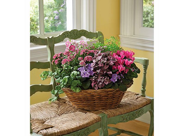 Mixed Flower Basket, 2 image