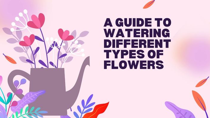 A Guide to Watering Different Types of Flowers