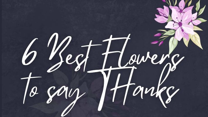 6 Best Flowers to Say Thank you