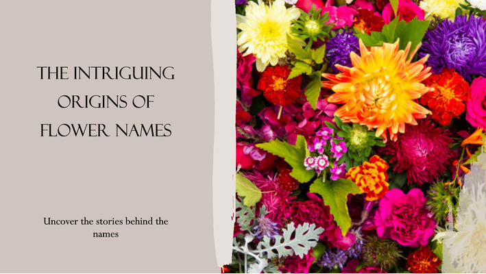 Unearthing Secrets: The Intriguing Origins of Flower Names