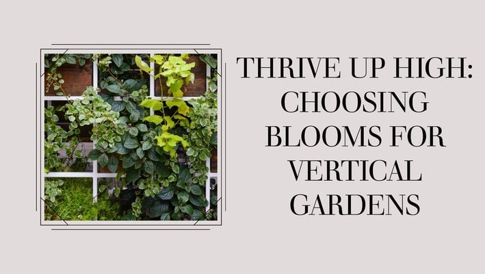 Thrive Up High: Choosing Blooms for Vertical Gardens