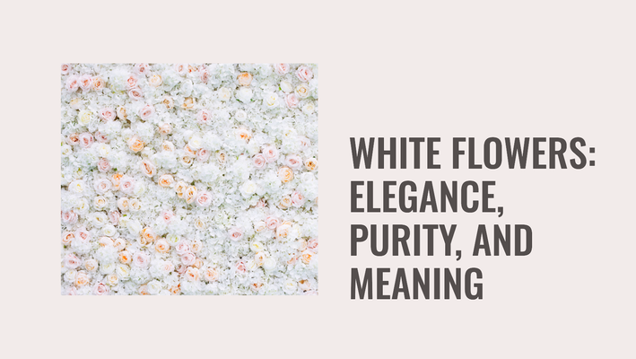 White Flowers: Elegance, Purity, and the Many Meanings They Convey
