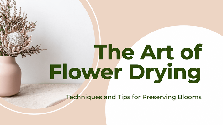 The Art of Flower Drying